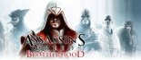 game pic for Assassins Creed Brotherhood Touchscreen 400x240 Landscape
